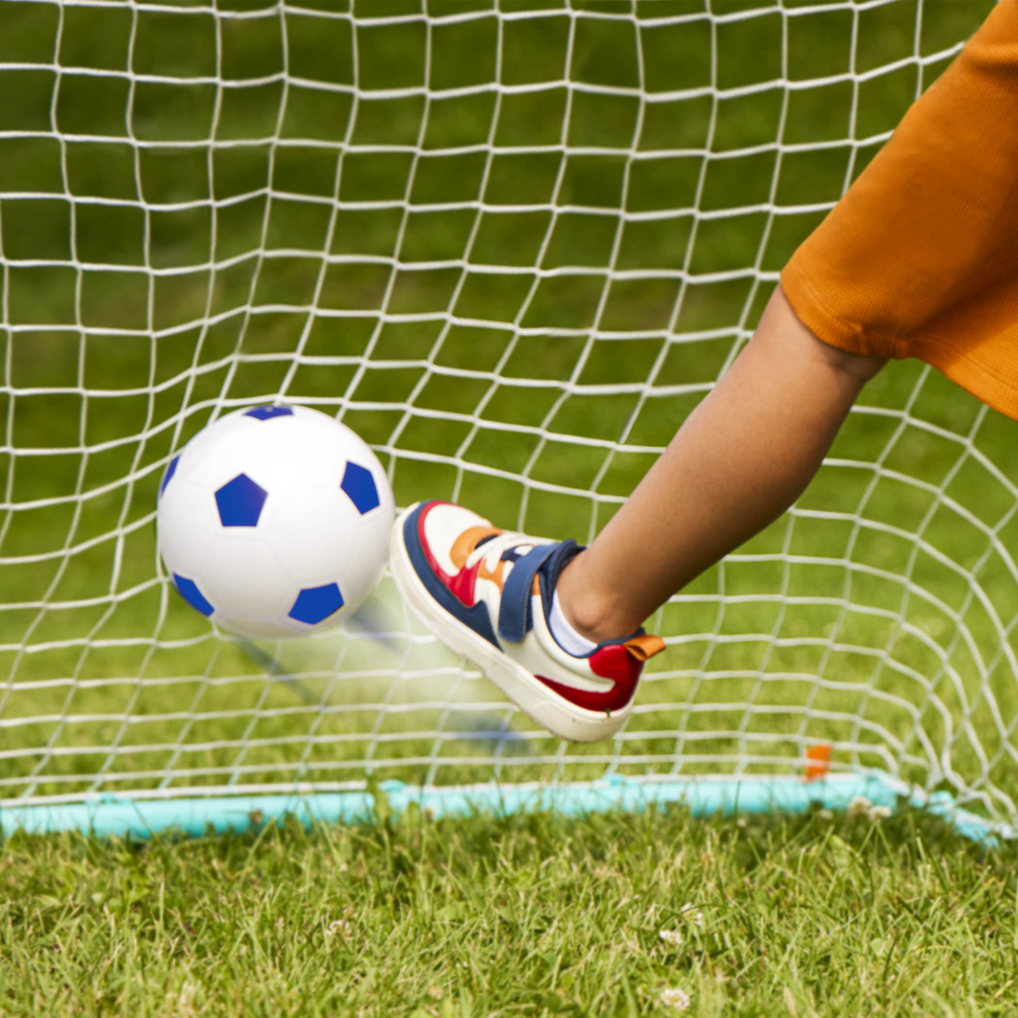 Soccer Net & Ball